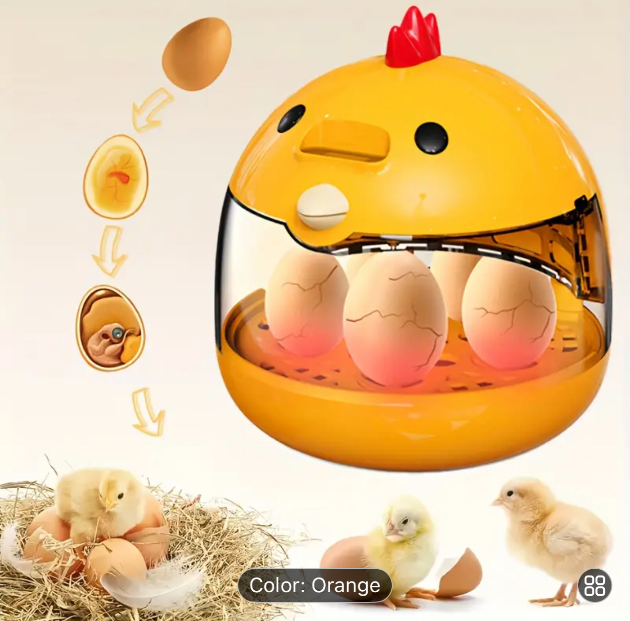 Incubator Hatching Eggs